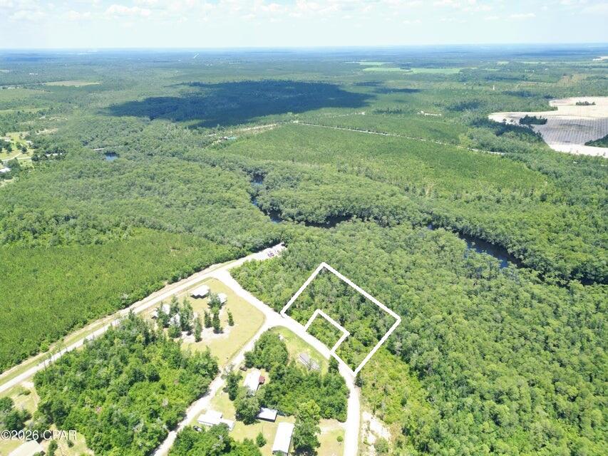 Aerial view of a wooded parcel outlined in white beside a road and forest stream.