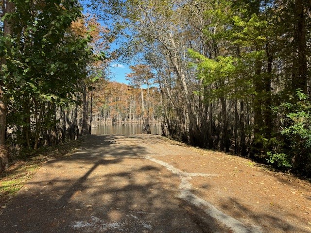 Wooded lot with a dirt access lane leading to water.