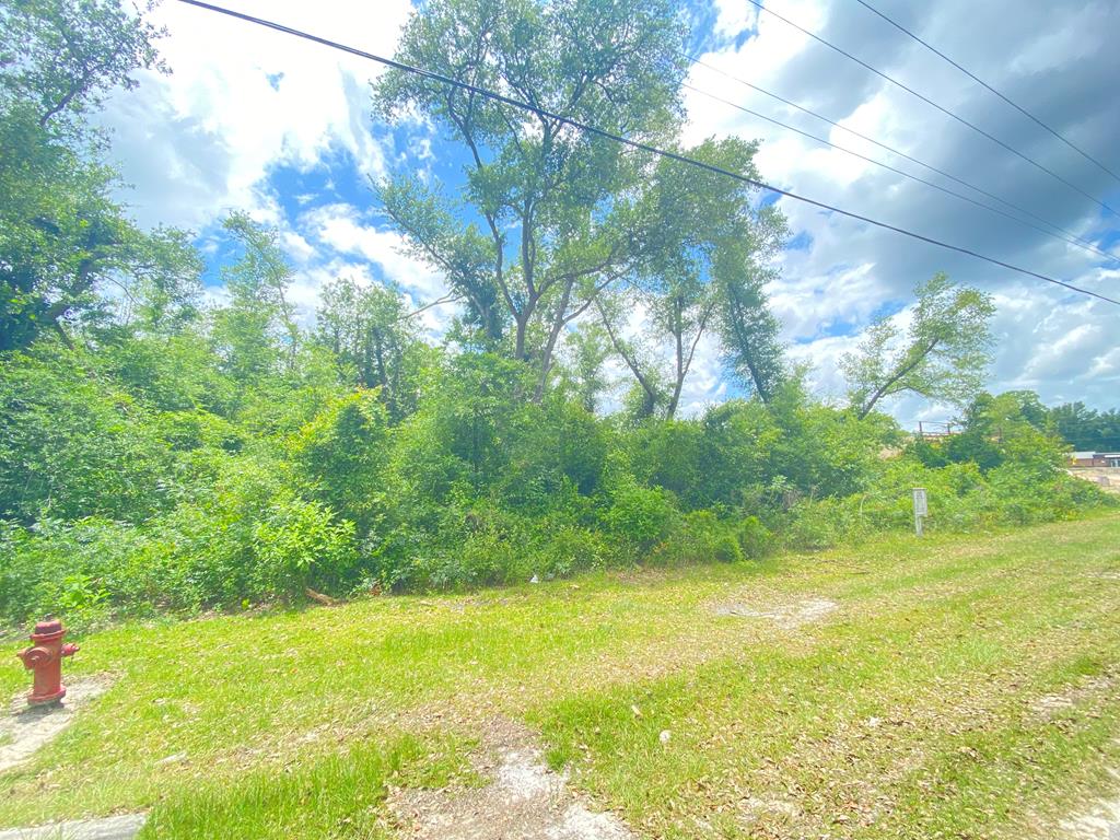 Lot 1 Land Dr, 32465