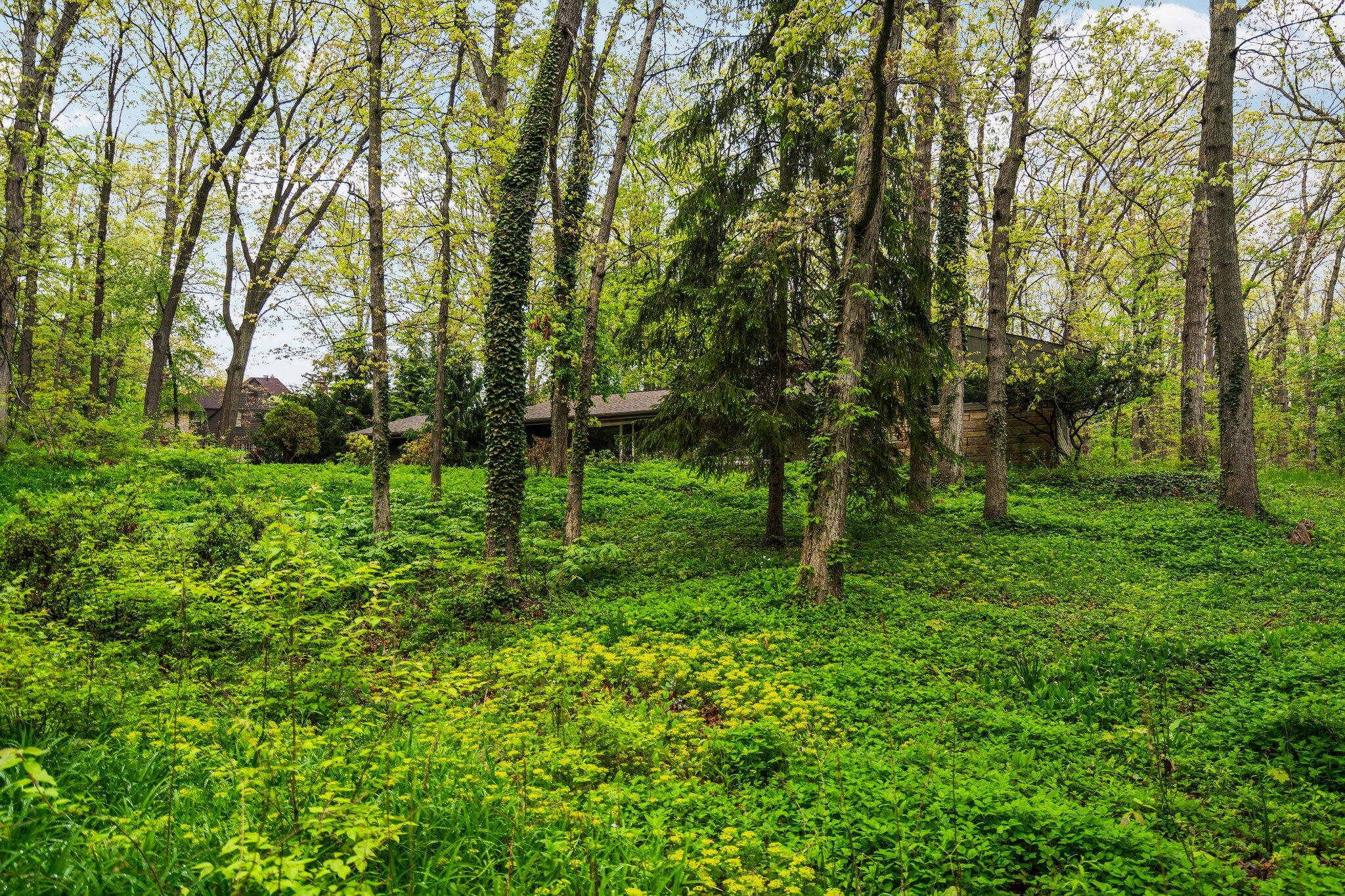1657 Glenwood Road