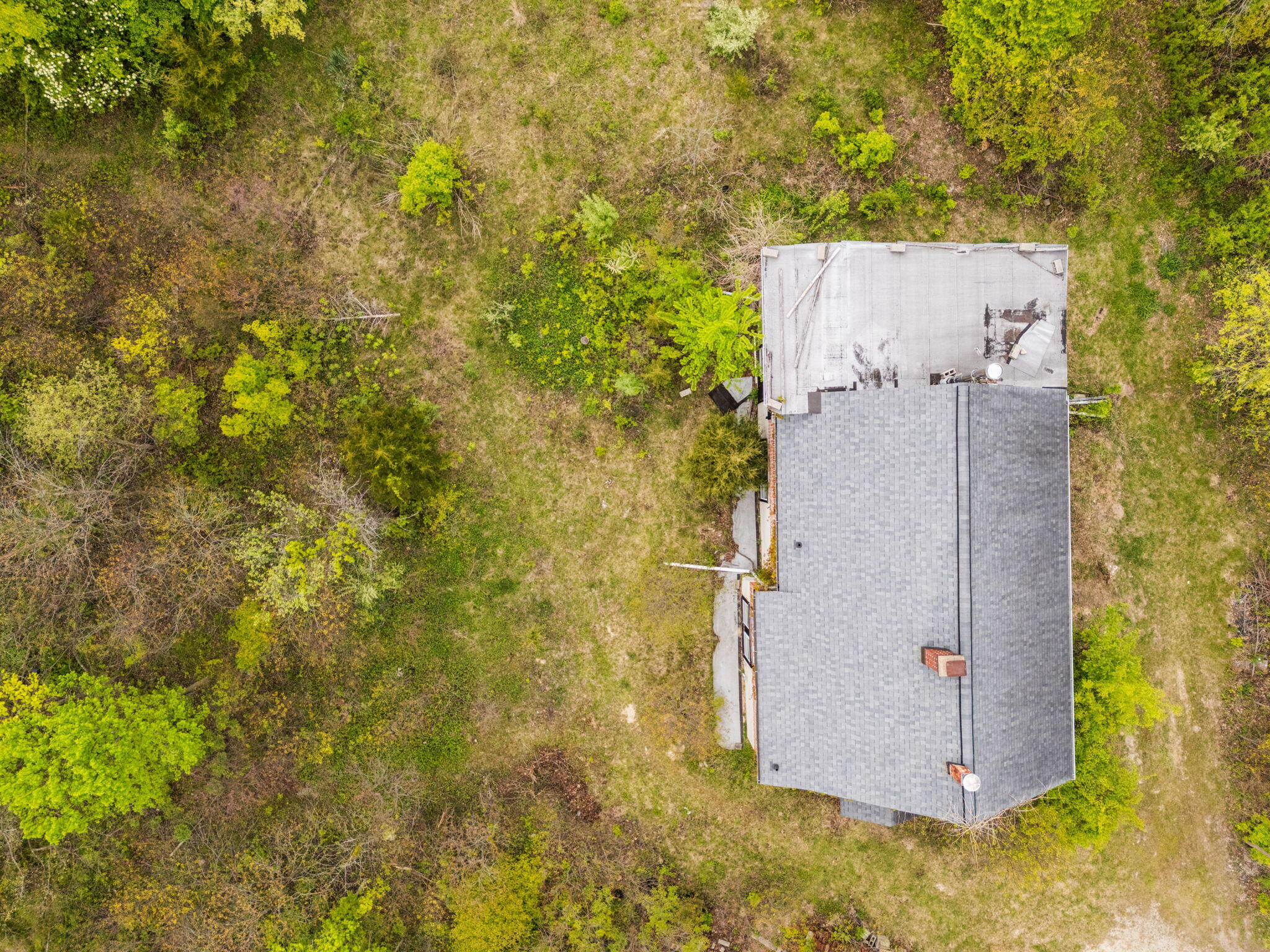 2203 Hickman Road