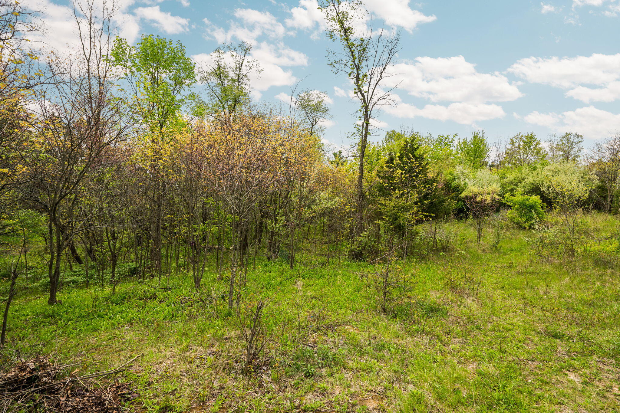 2203 Hickman Road