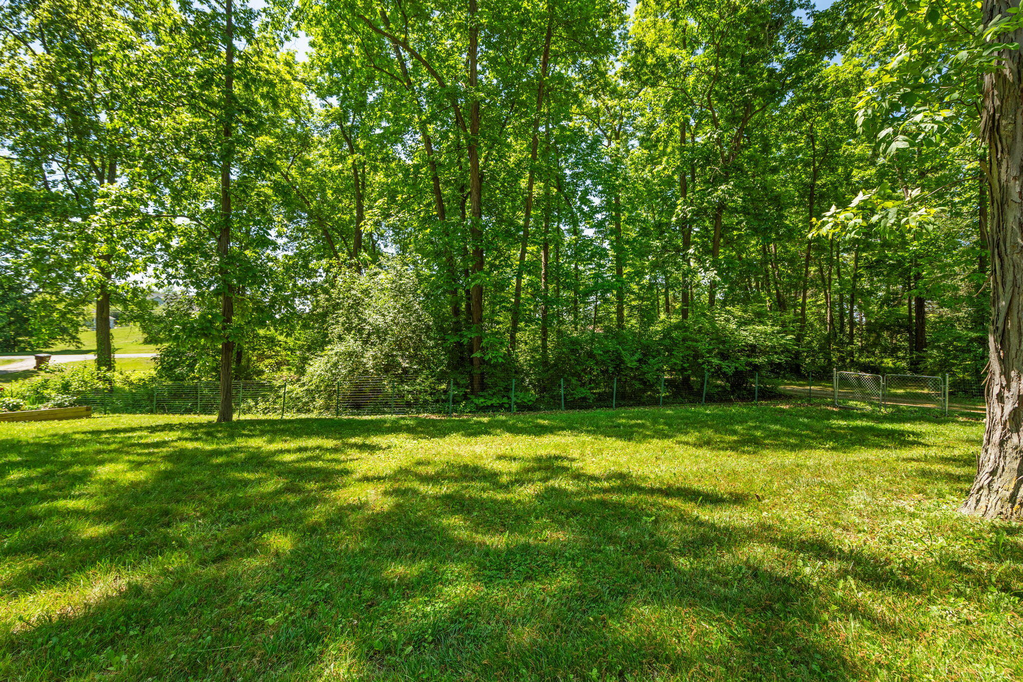4271 Willis Road