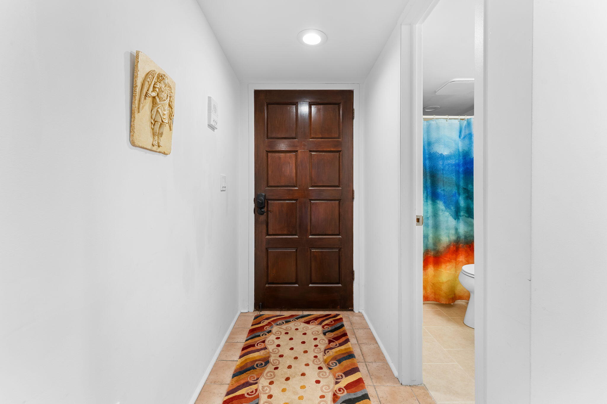 Entry hallway with a dark paneled door, patterned runner, and colorful bathroom curtain.