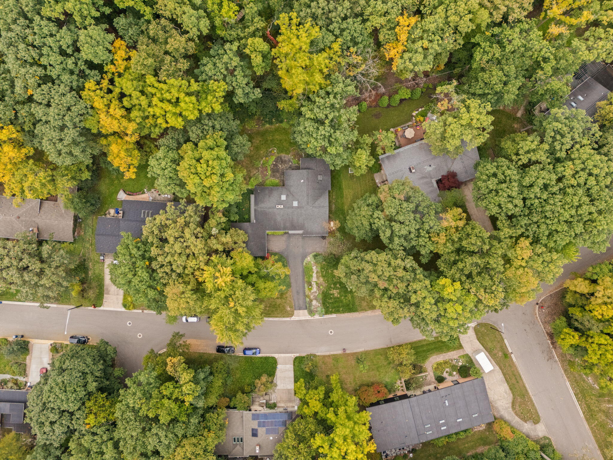 Aerial view of a home surrounded by mature trees, with its driveway leading to a residential street.