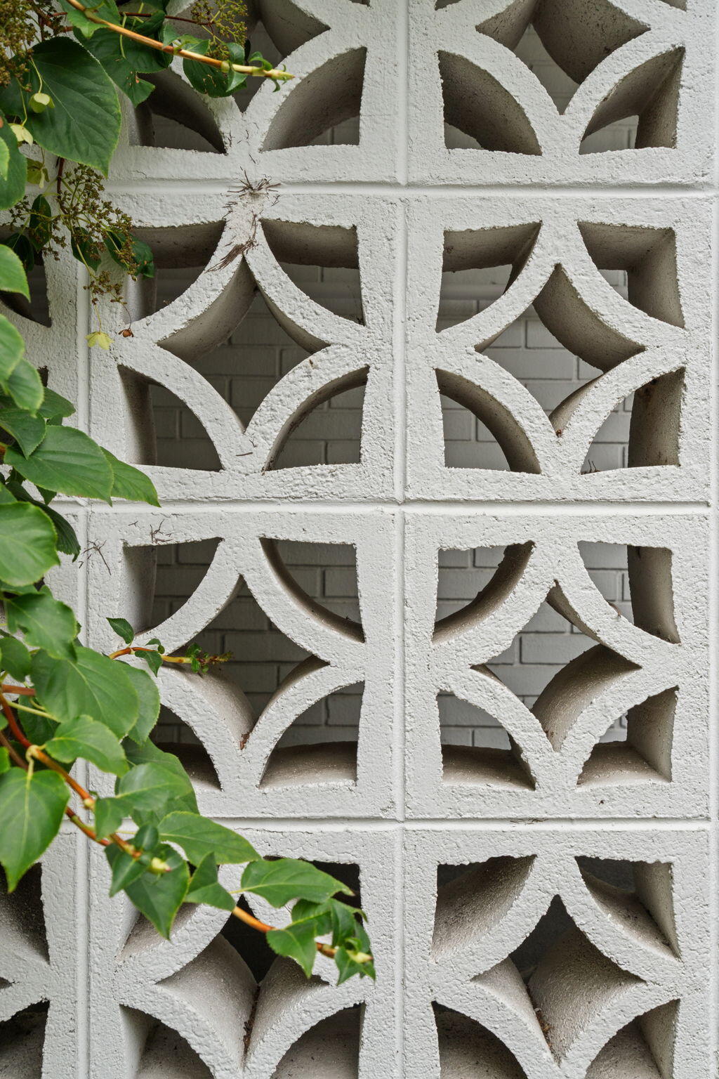 White geometric breeze-block wall with leafy branches and brick visible through the openings.