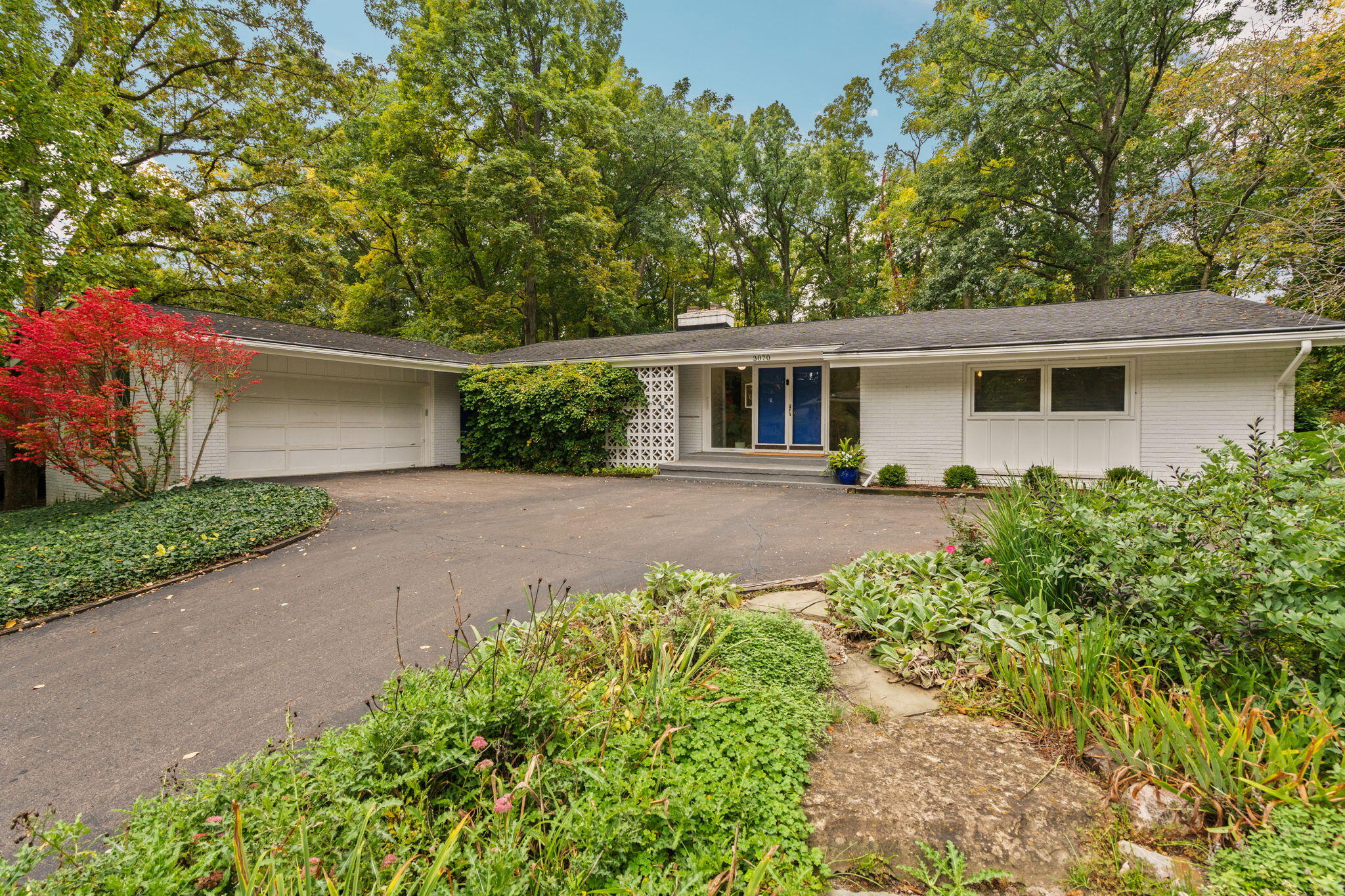 Single-story white brick home with blue double doors, an attached garage, and leafy garden landscaping.
