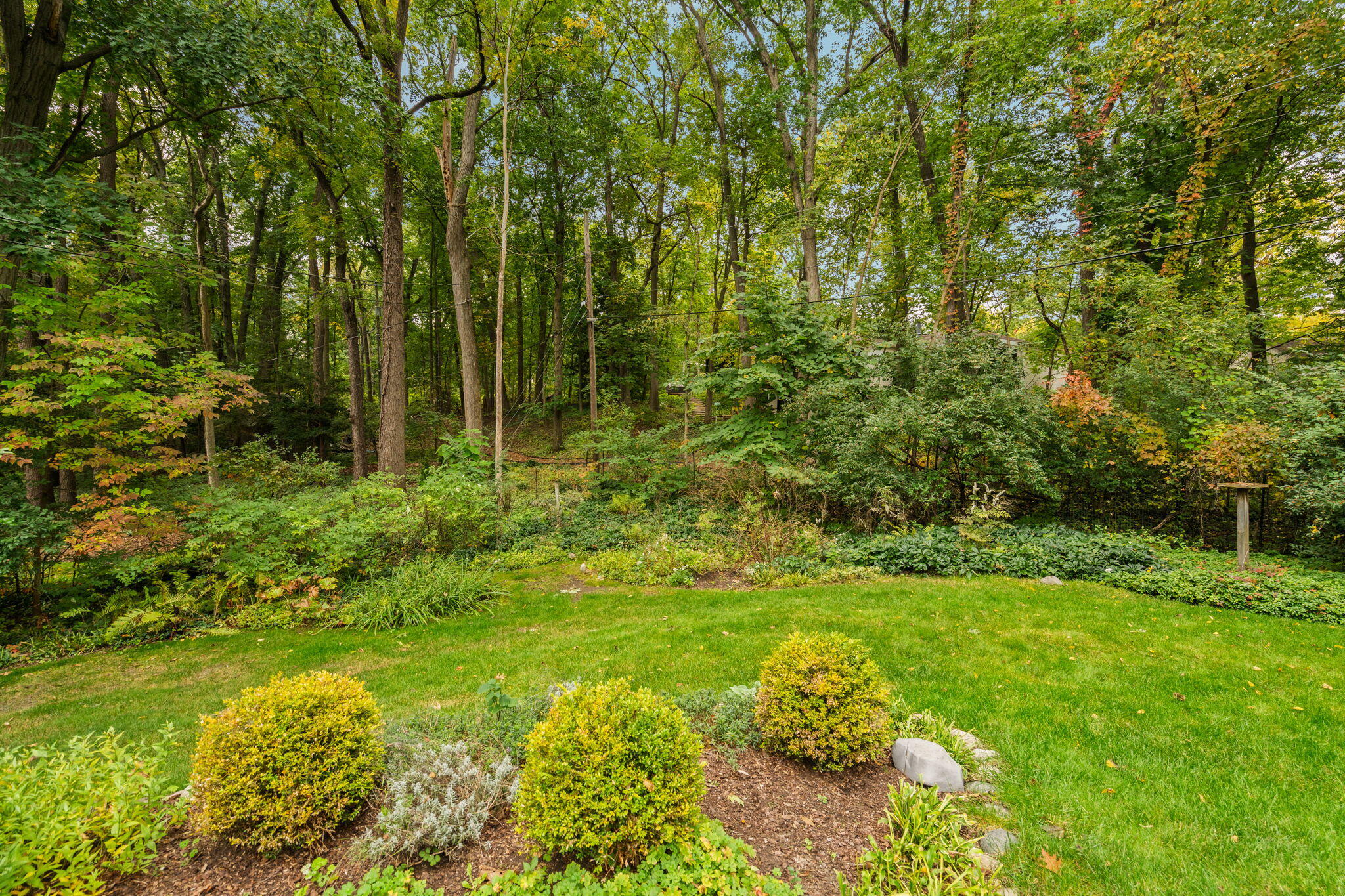 Landscaped lawn and garden beds bordered by dense mature trees.