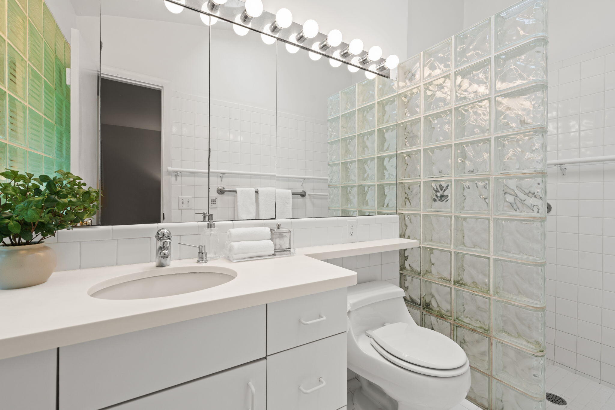 Bathroom with a white vanity, large mirror, and glass-block shower partition.
