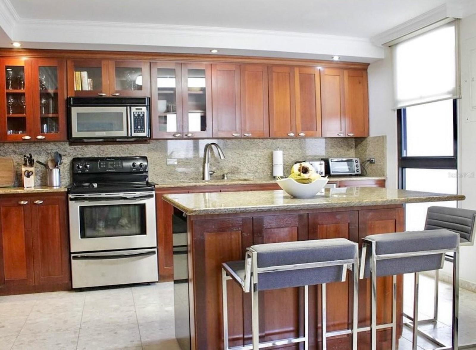 APT 206 COND. CONDADO PARK #206