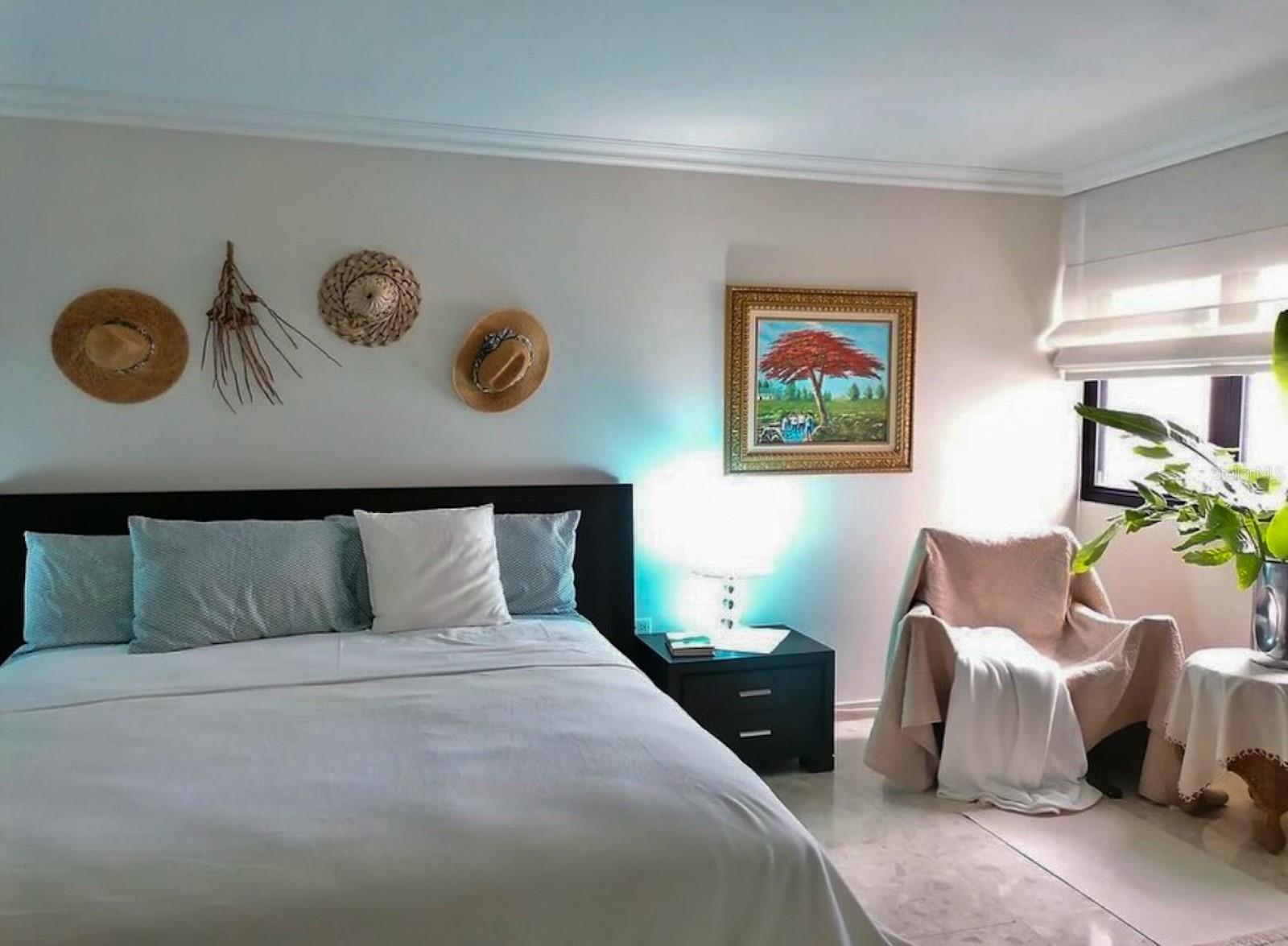 APT 206 COND. CONDADO PARK #206