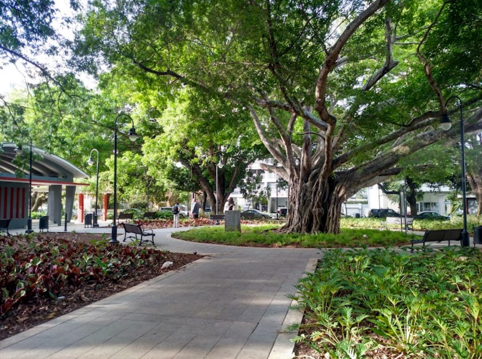 APT 206 COND. CONDADO PARK #206
