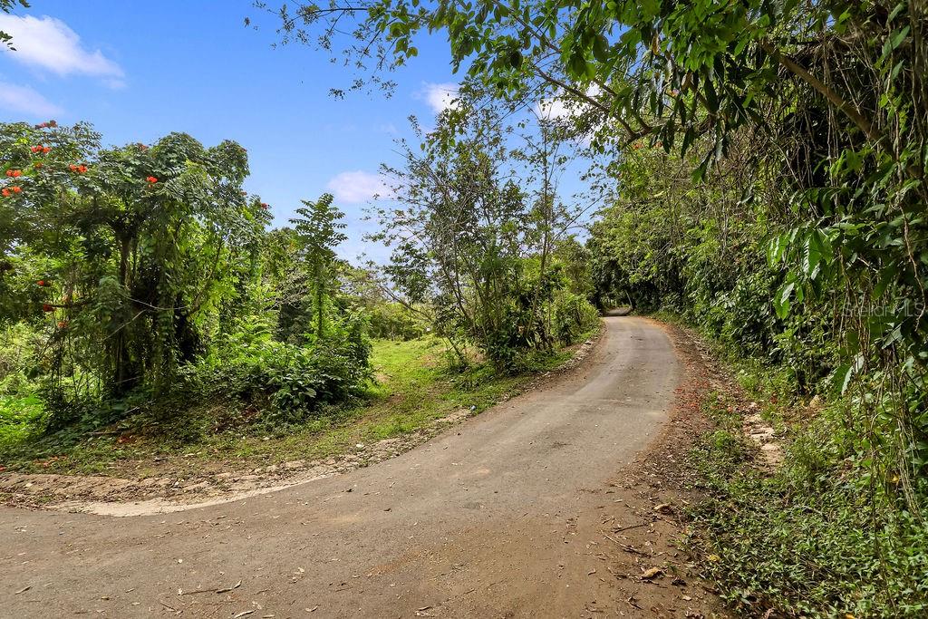 RD. 140, KM. 38. MAMEYES ABAJO, SECTOR LOS TORRES