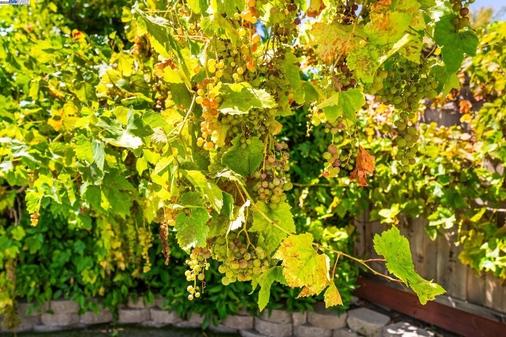 7638 Coral Way