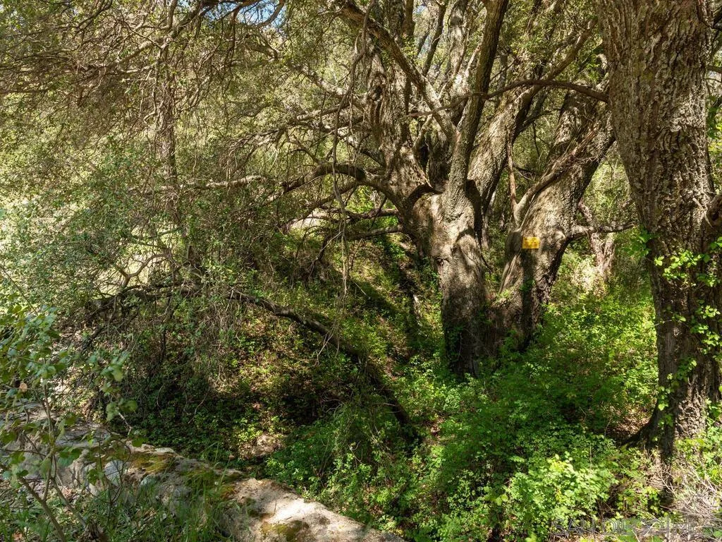 6050 Engineers Road