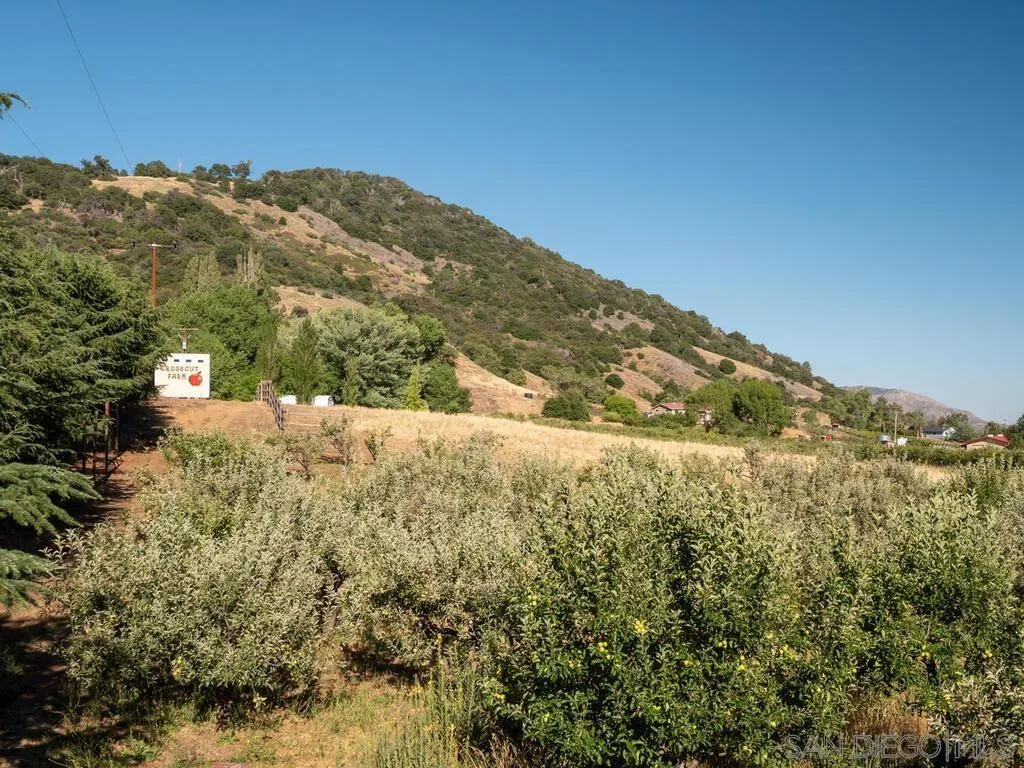 1209 Farmer Road