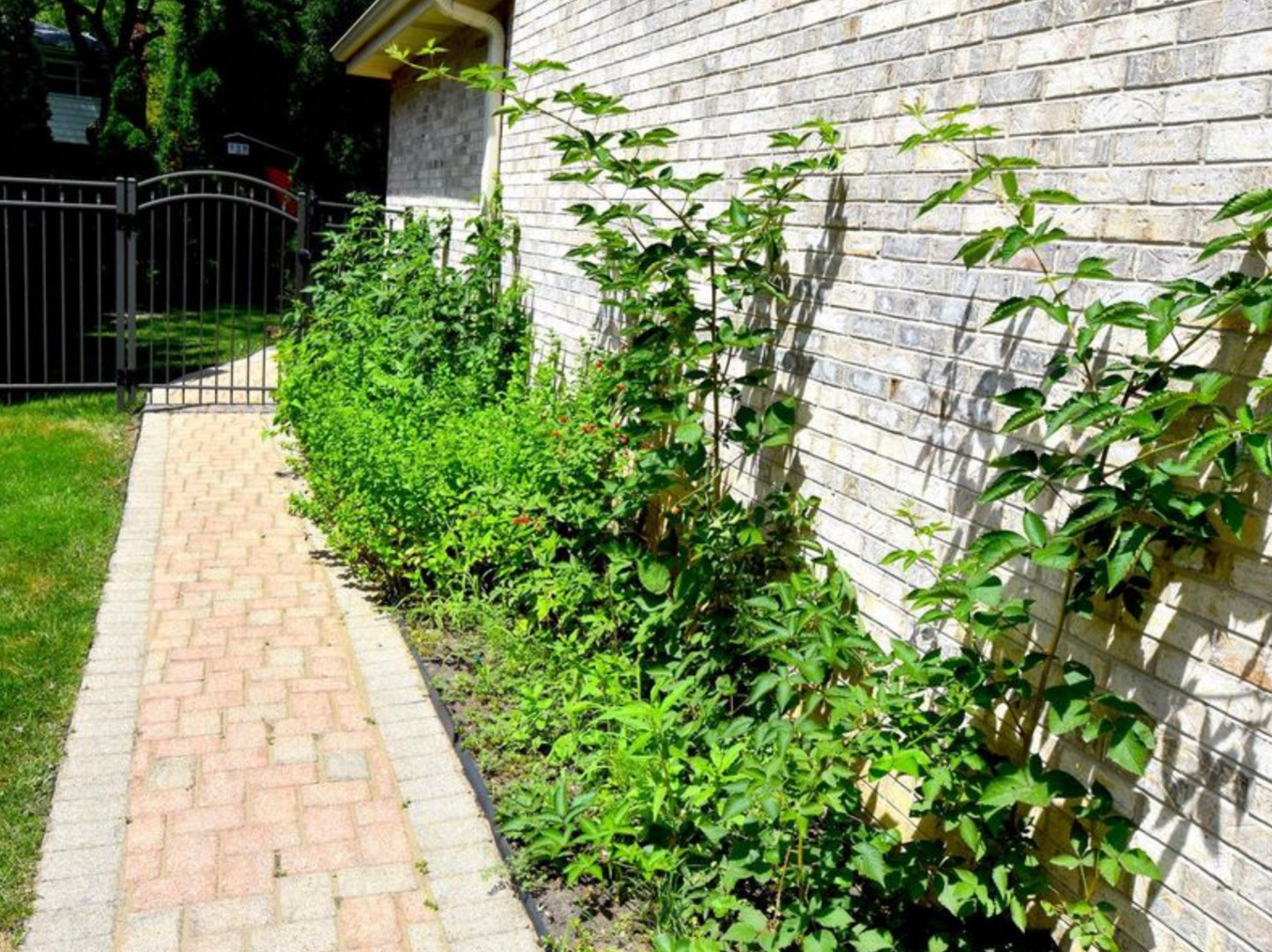 1302 S PRINCETON Avenue