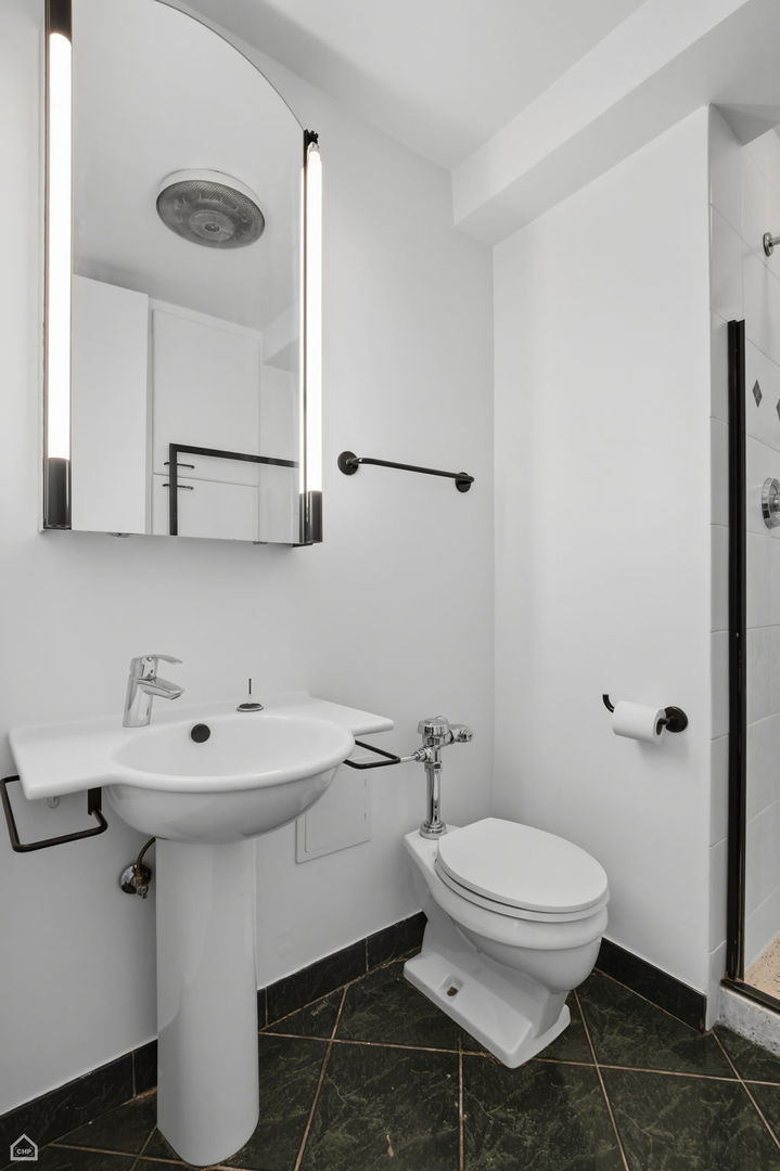 900 N Lake Shore Drive Unit: 1207