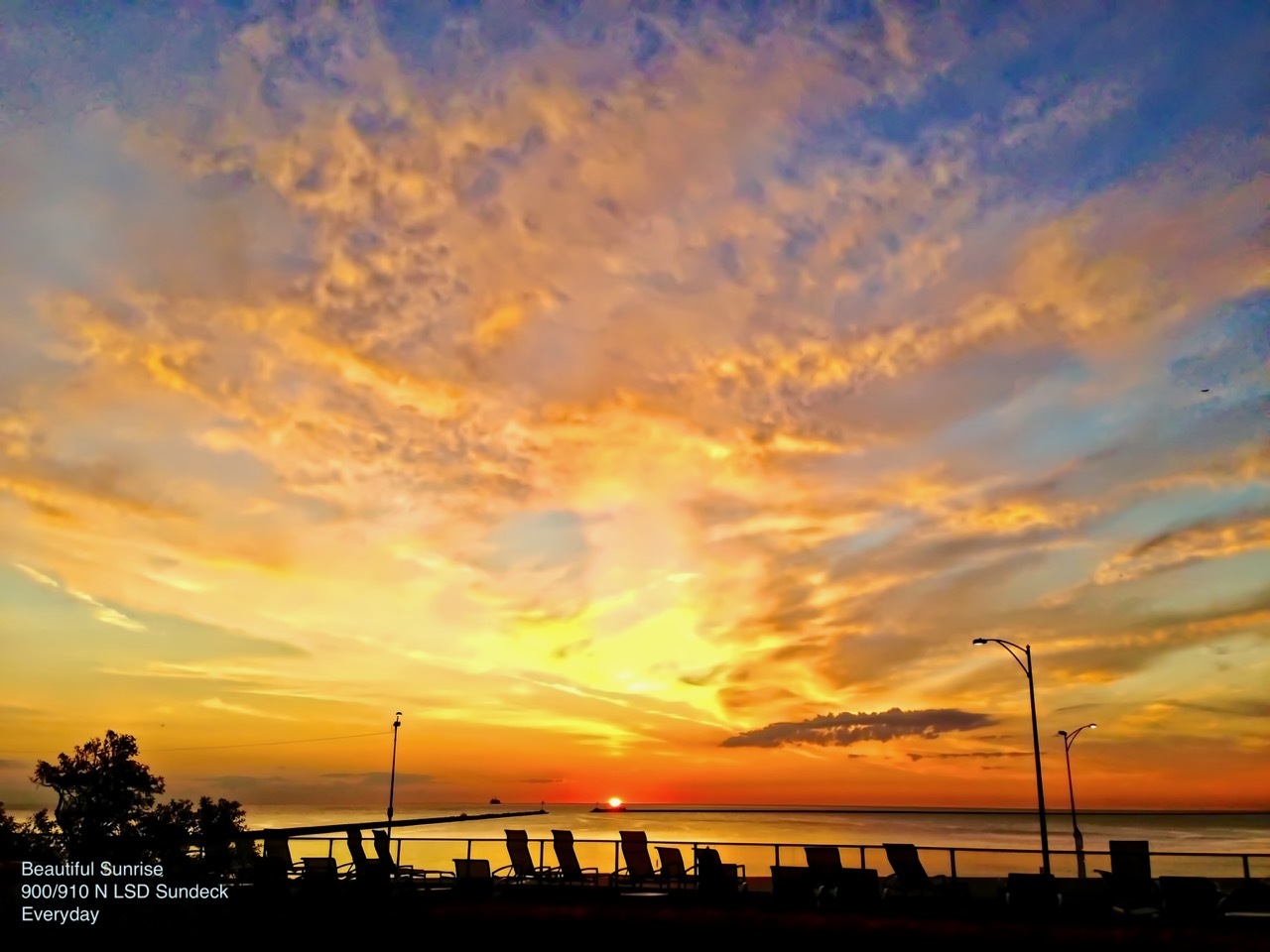 900 N Lake Shore Drive Unit: 1207