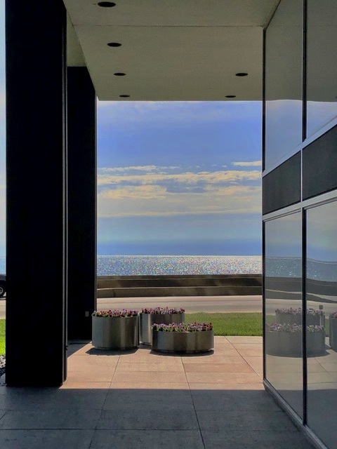 900 N Lake Shore Drive Unit: 1207