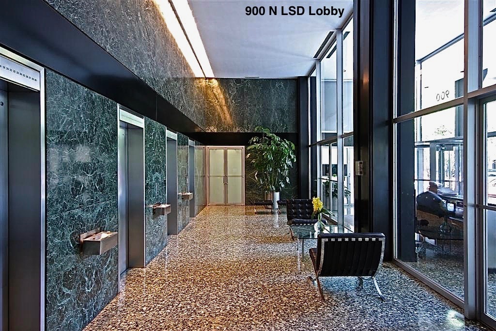 900 N Lake Shore Drive Unit: 1207