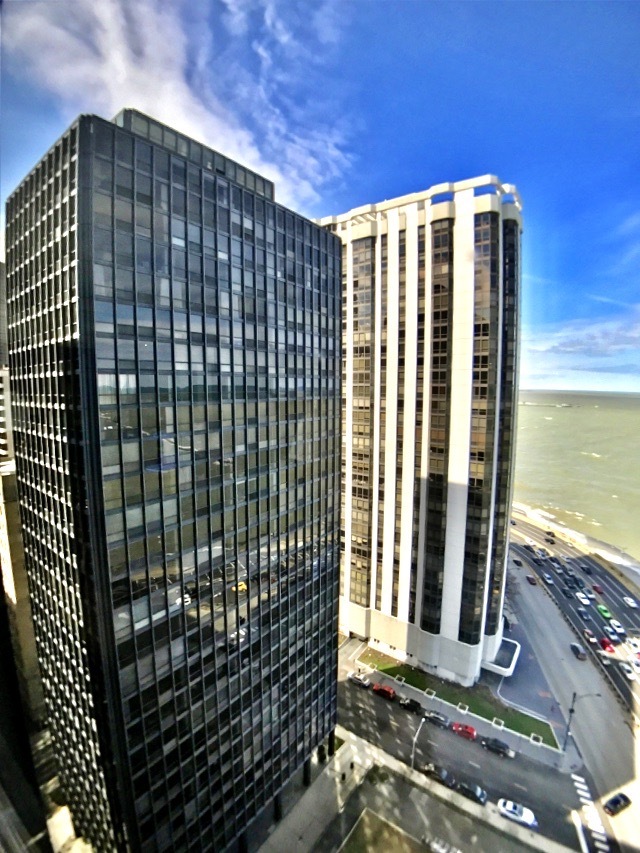 900 N Lake Shore Drive Unit: 1207