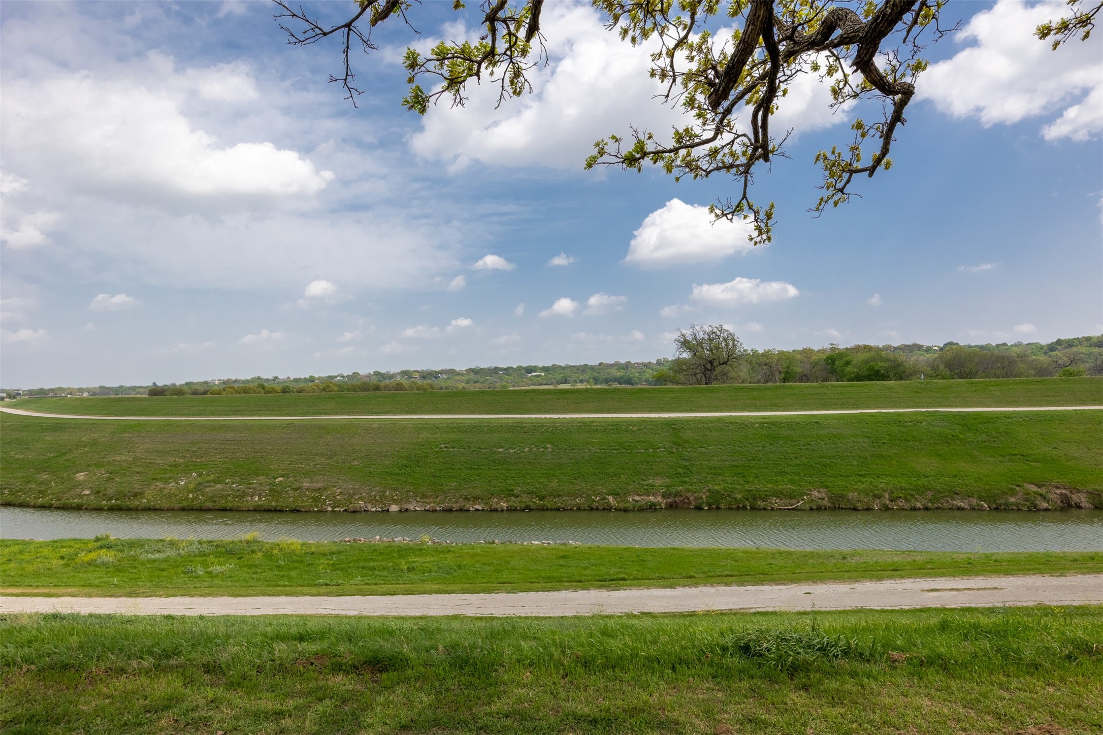 225 Clementine Court