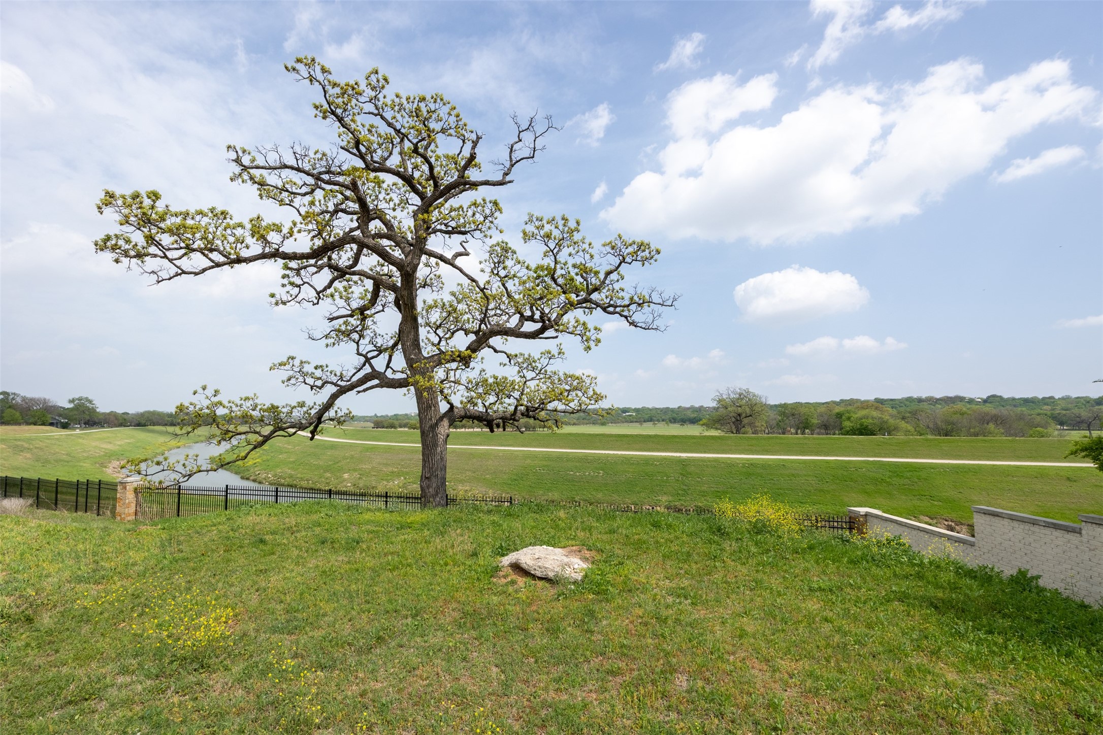 225 Clementine Court