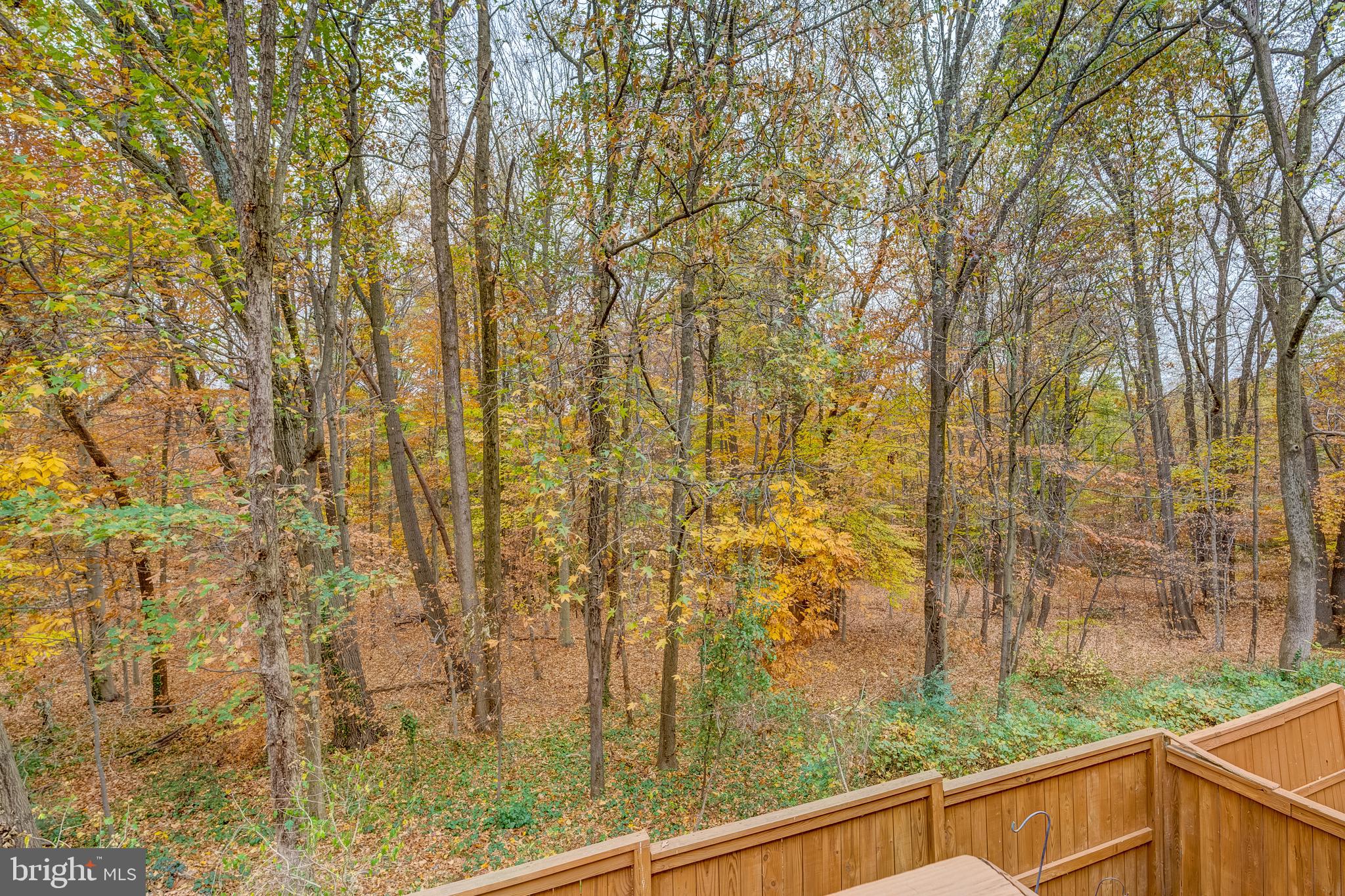 5936 WOODFIELD ESTATES DRIVE