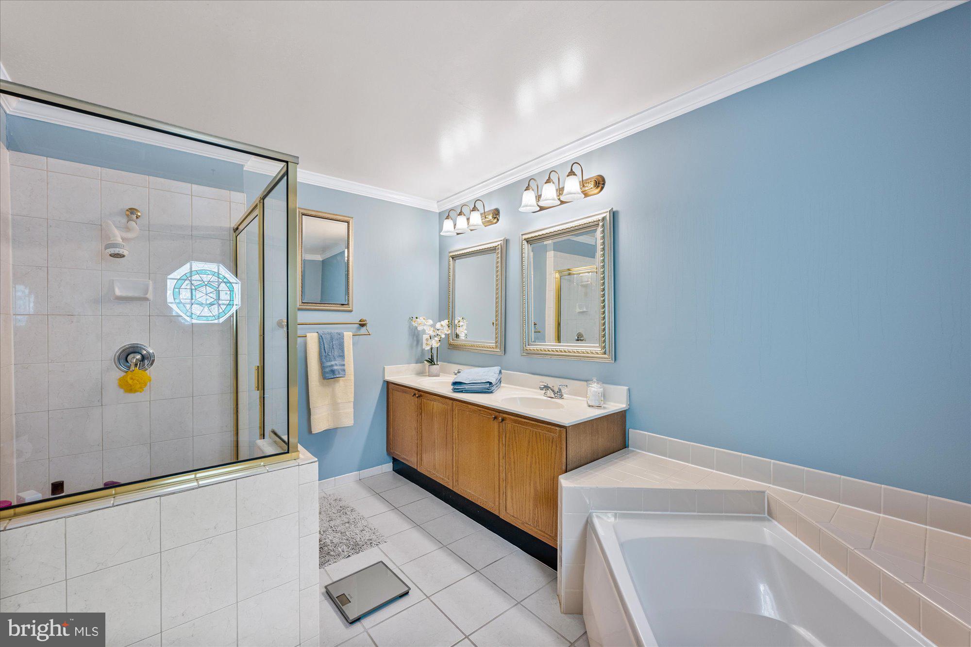 7203 BURTON HILL COURT