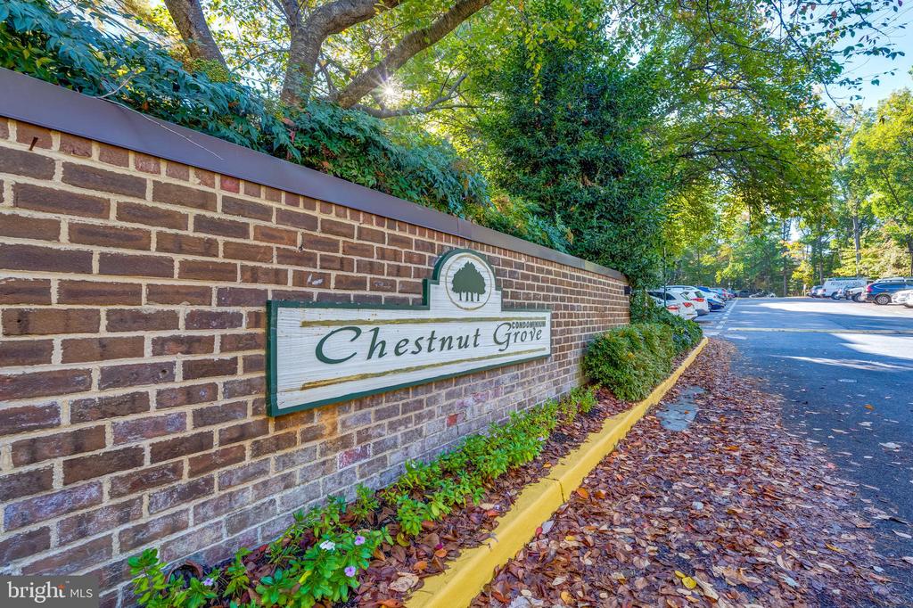 11260 CHESTNUT GROVE SQUARE 339