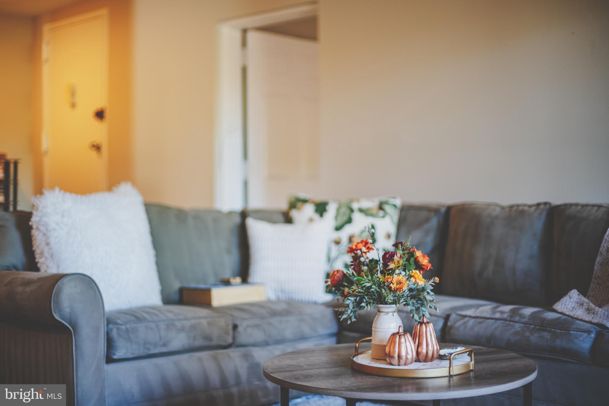 11260 CHESTNUT GROVE SQUARE 339