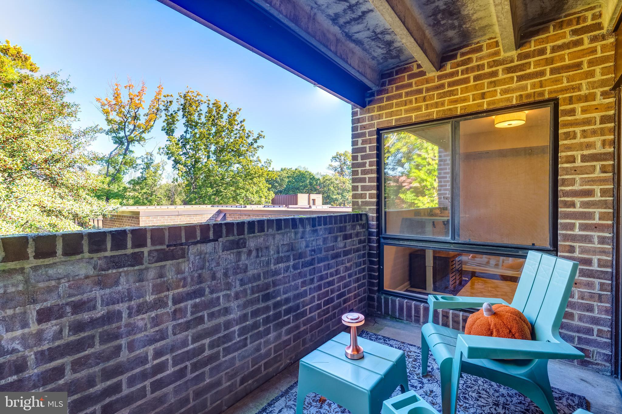 11260 CHESTNUT GROVE SQUARE 339