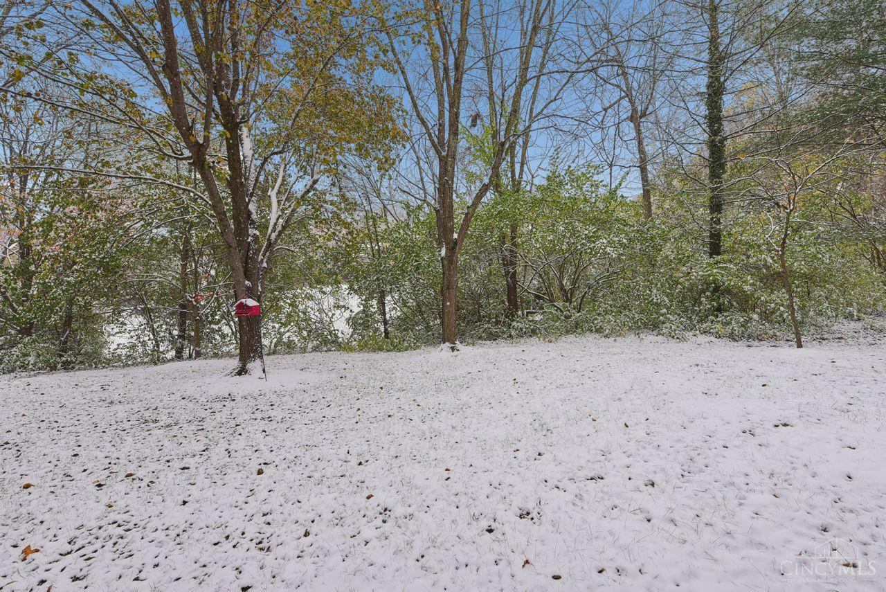 2474 Walnutview Court