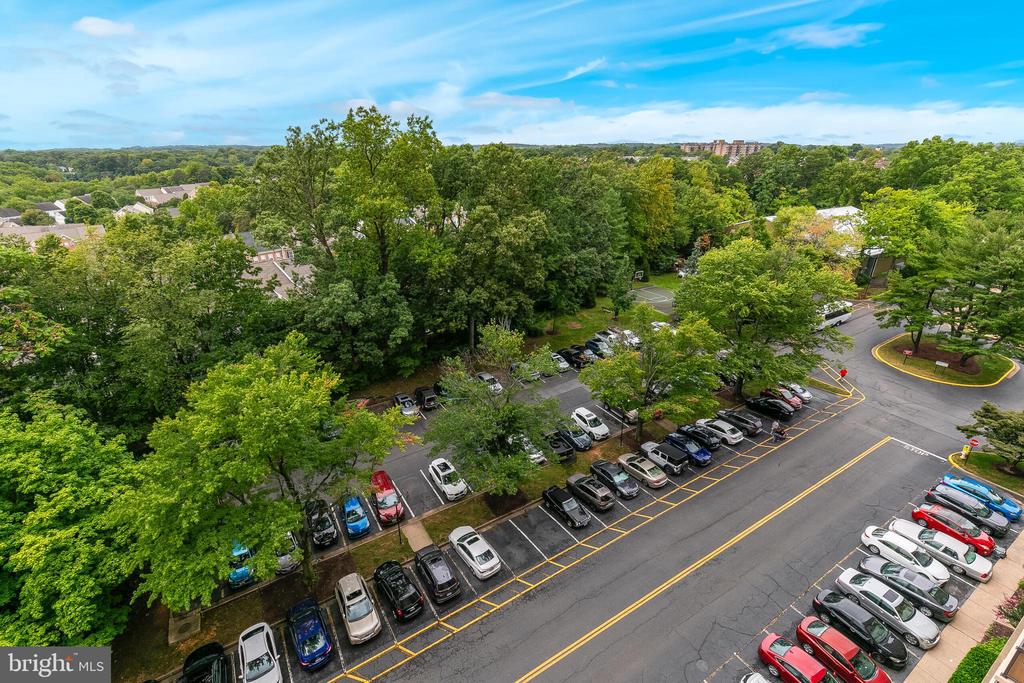 307 YOAKUM PARKWAY 1020