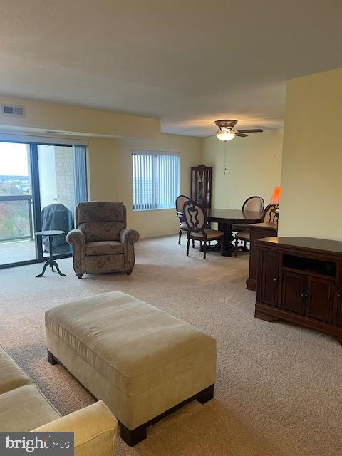 307 YOAKUM PARKWAY 1007