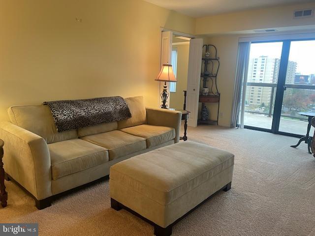 307 YOAKUM PARKWAY 1007
