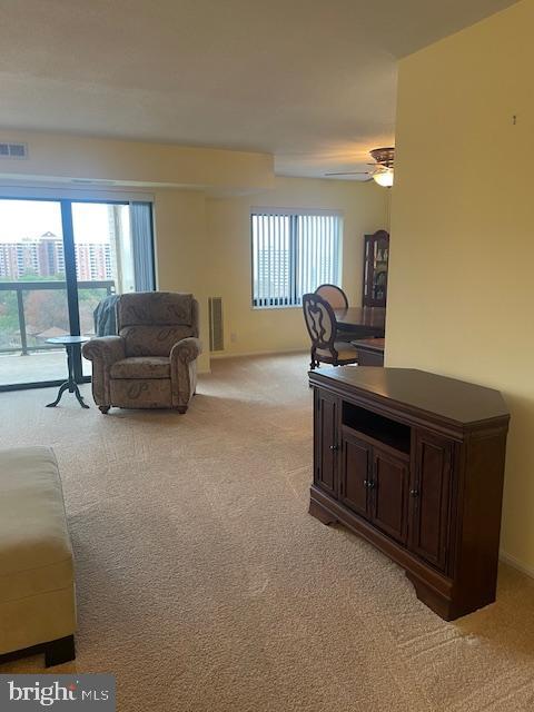 307 YOAKUM PARKWAY 1007