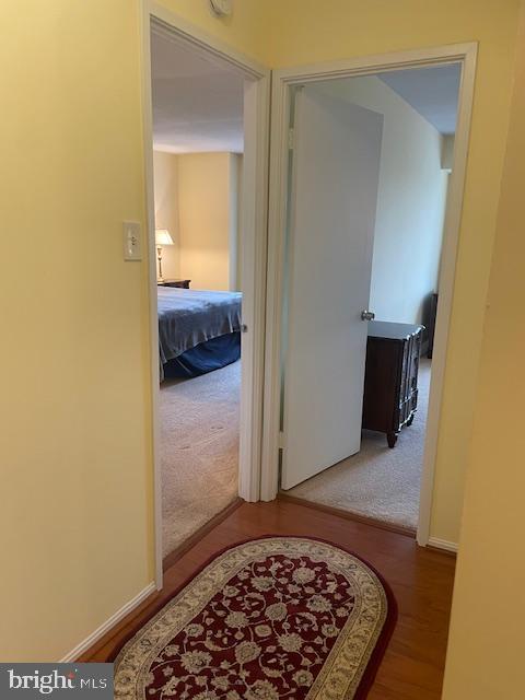 307 YOAKUM PARKWAY 1007