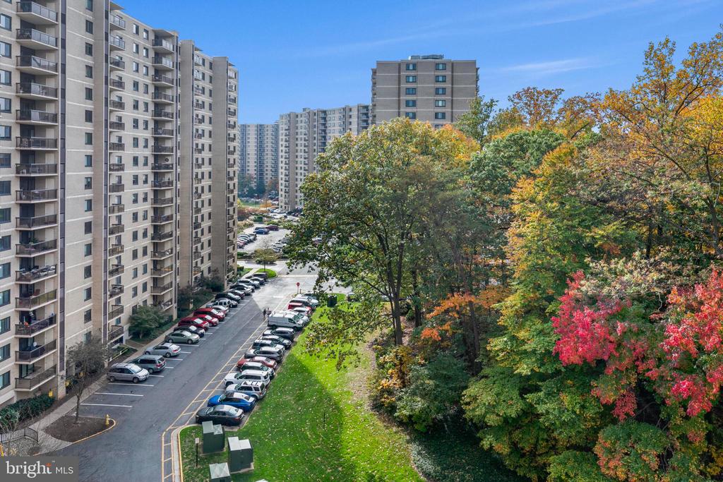 203 YOAKUM PARKWAY 218