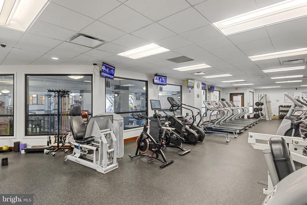 205 YOAKUM PARKWAY 1017