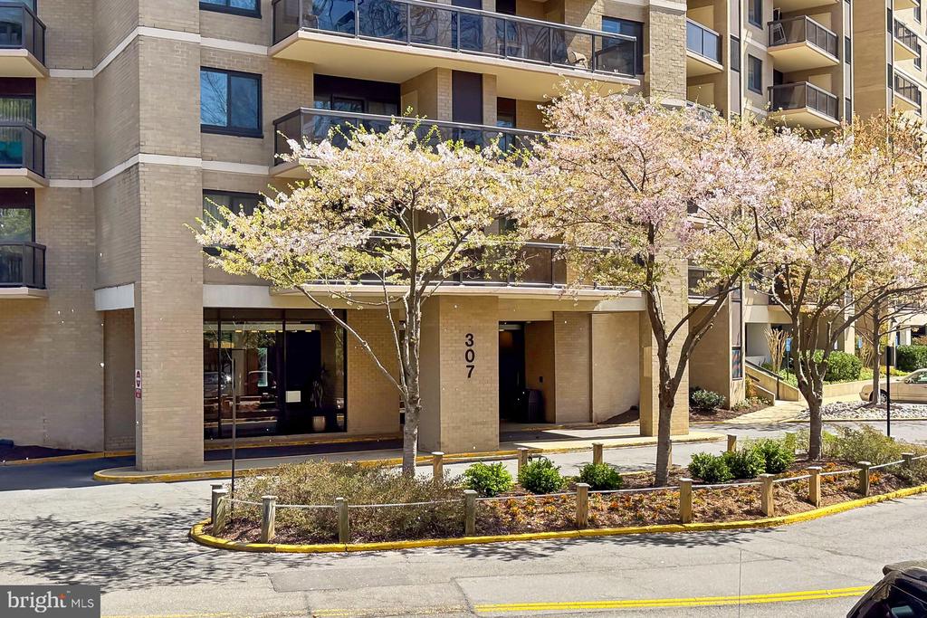 307 YOAKUM PARKWAY 1206