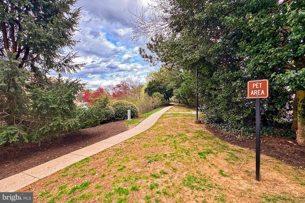 307 YOAKUM PARKWAY 1206