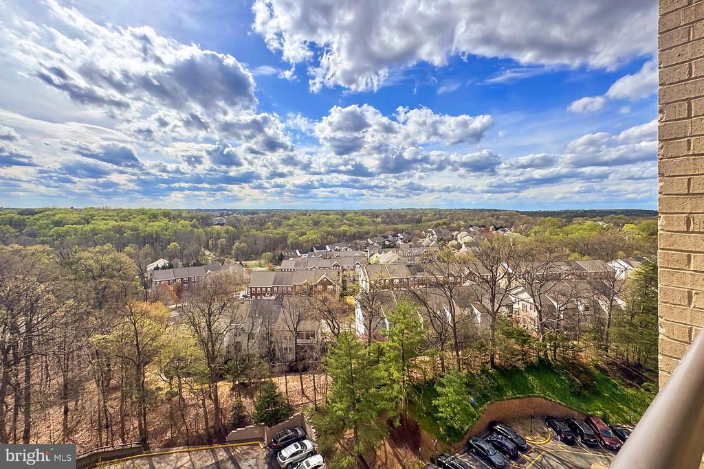 307 YOAKUM PARKWAY 1206