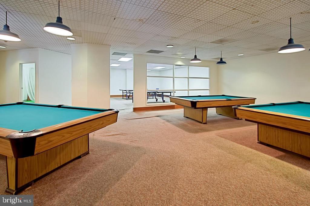 307 YOAKUM PARKWAY 1206