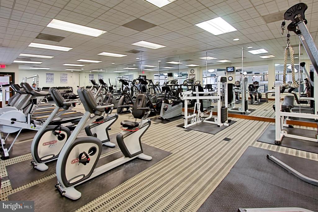 307 YOAKUM PARKWAY 1206