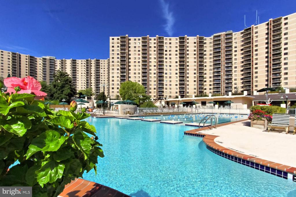 307 YOAKUM PARKWAY 1206