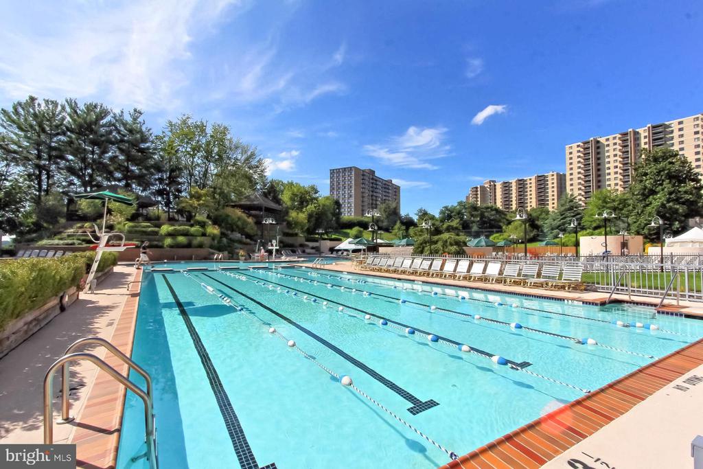 307 YOAKUM PARKWAY 1206
