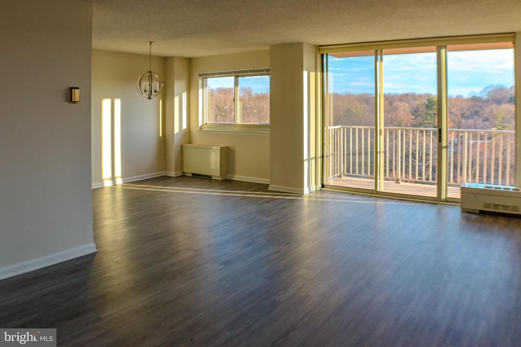 1225 MARTHA CUSTIS DRIVE 1417