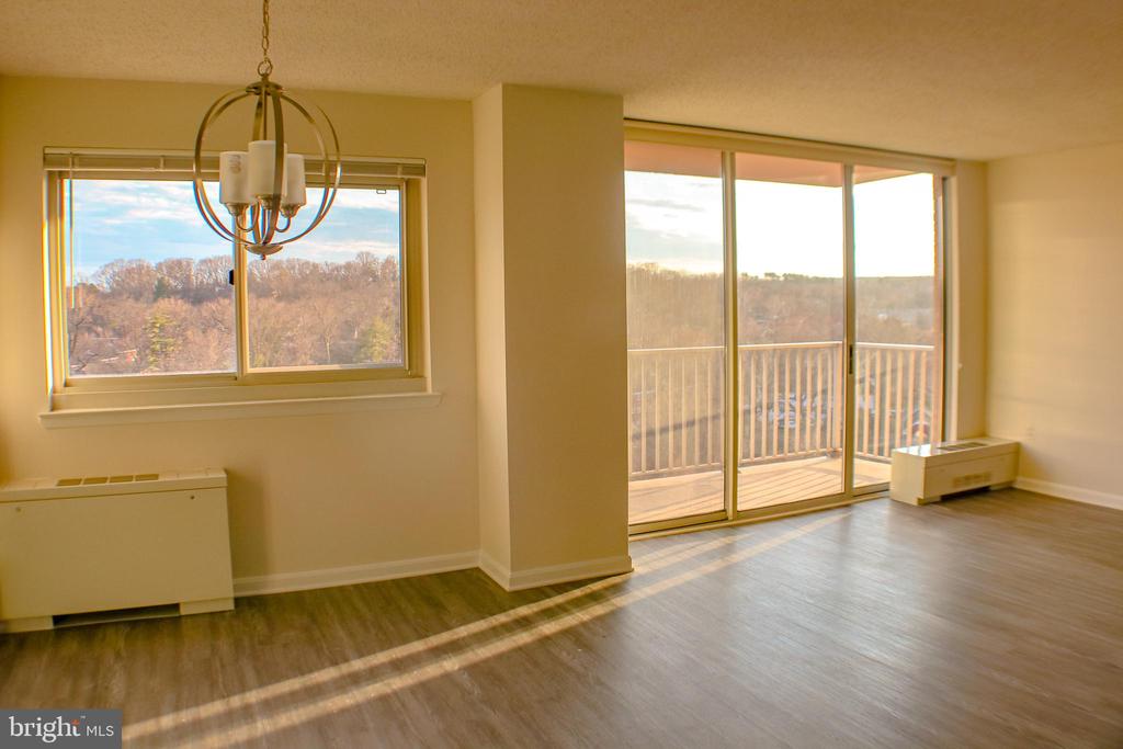 1225 MARTHA CUSTIS DRIVE 1417